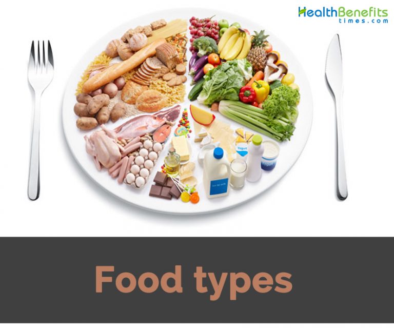 what-are-the-different-types-of-foods