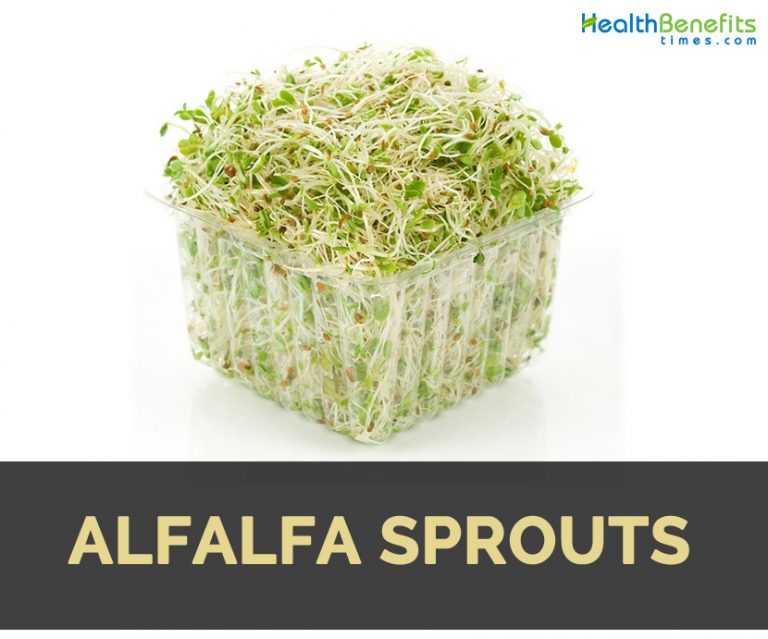 alfalfa-sprouts-facts-health-benefits-nutritional-value