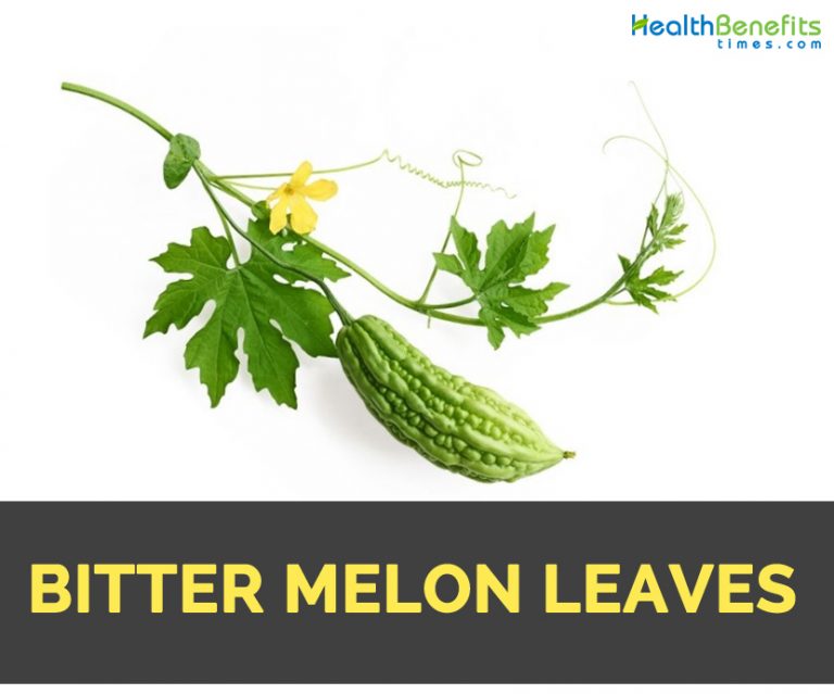 bitter-melon-leaves-facts-and-nutritional-value