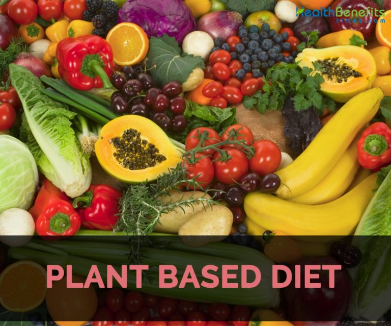 Health Benefits Of Eating Plant Based Diet 6343