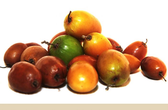 Indian Jujube Facts And Health Benefits