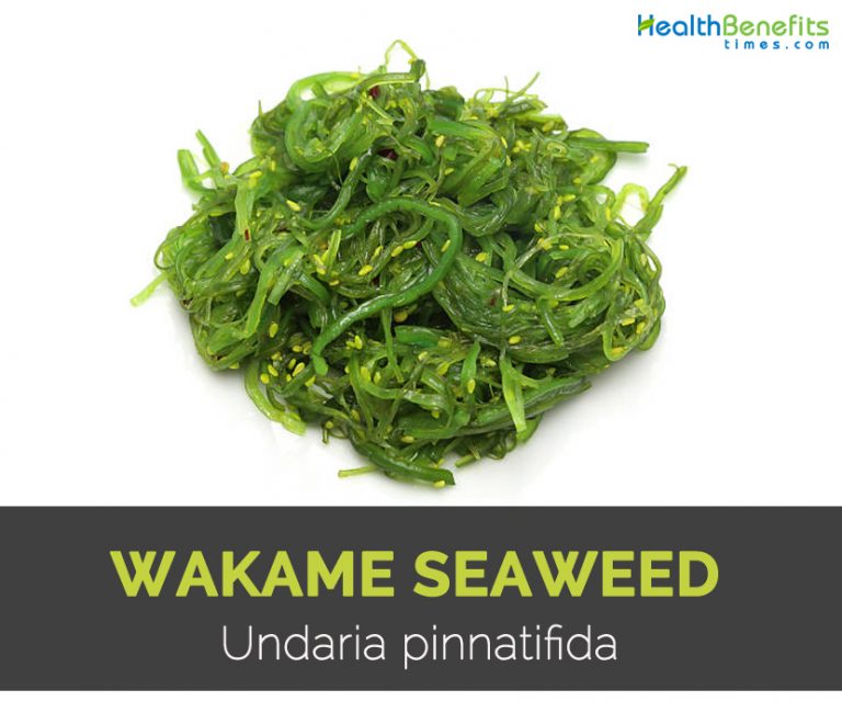 Wakame Seaweed Facts, Health Benefits and Nutritional Value