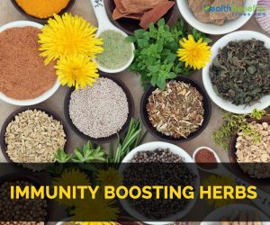 Herbs that boost immune health