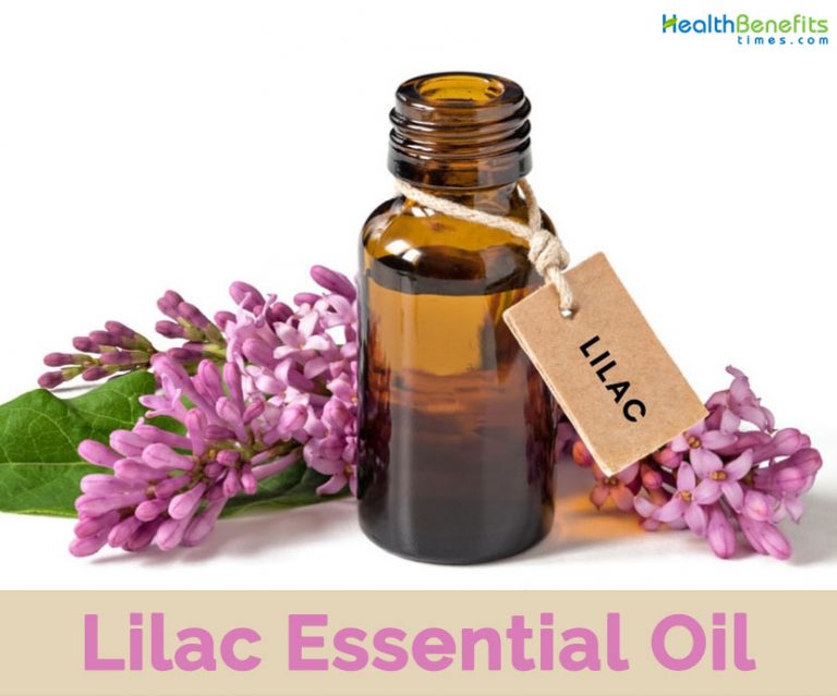 lilac-essential-oil-facts-and-health-benefits