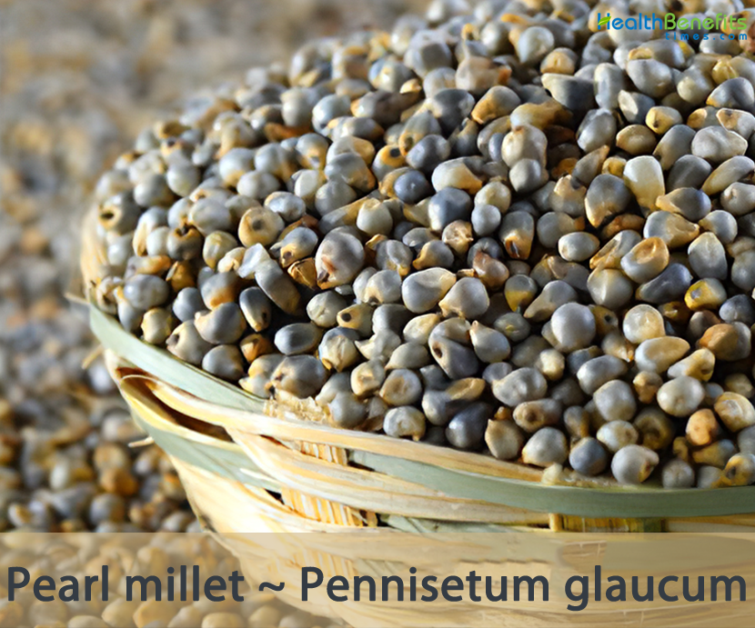 Pearl Millet Health Benefits Pdf At Donald Keith Blog