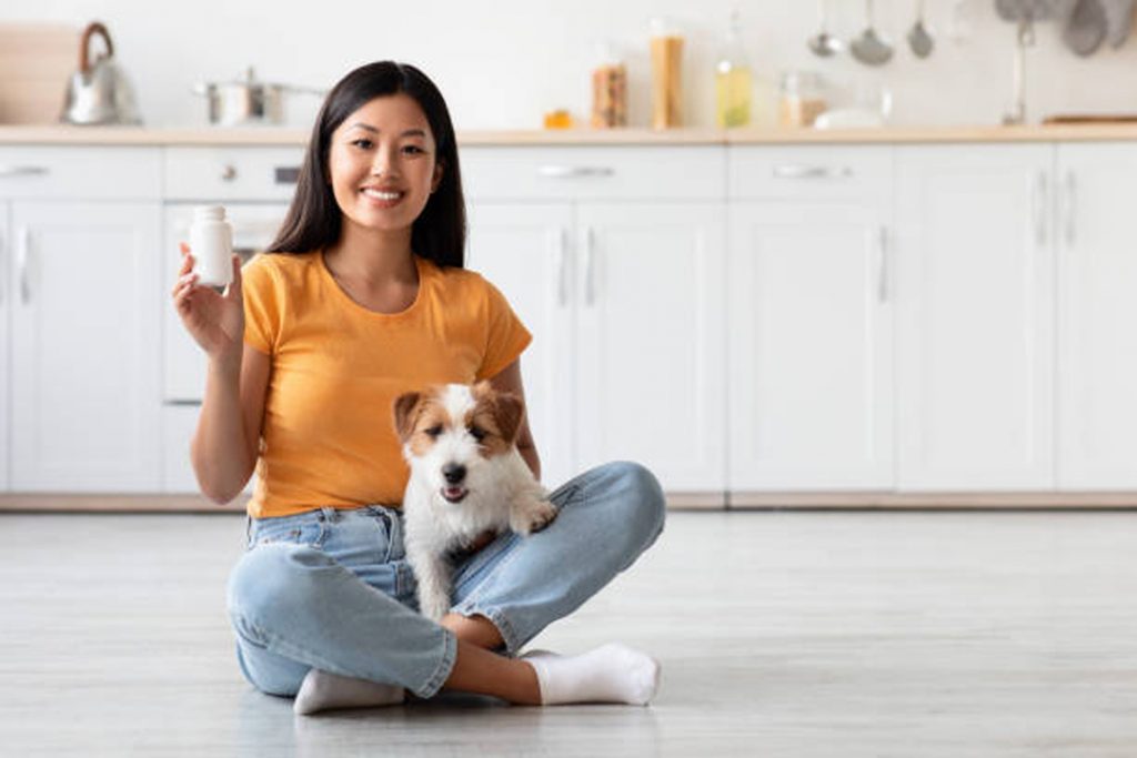 Vitamins And Minerals That Your Dog Needs For A Healthy Life