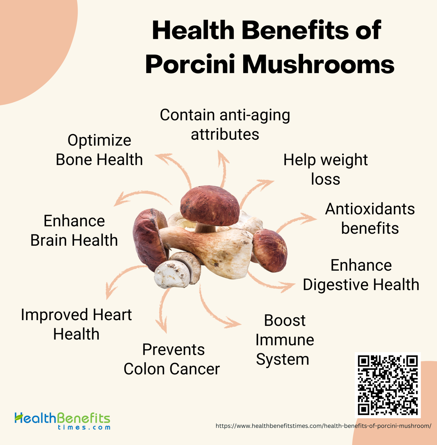 Health Benefits of Porcini Mushrooms | Health Benefits