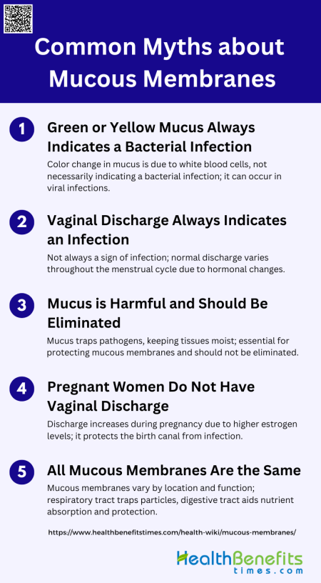 Common Myths about Mucous Membranes | Health Benefits