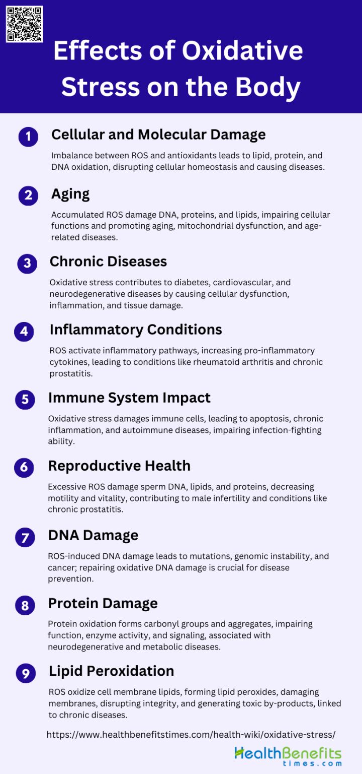 What Is Oxidative Stress Health Benefits 5347