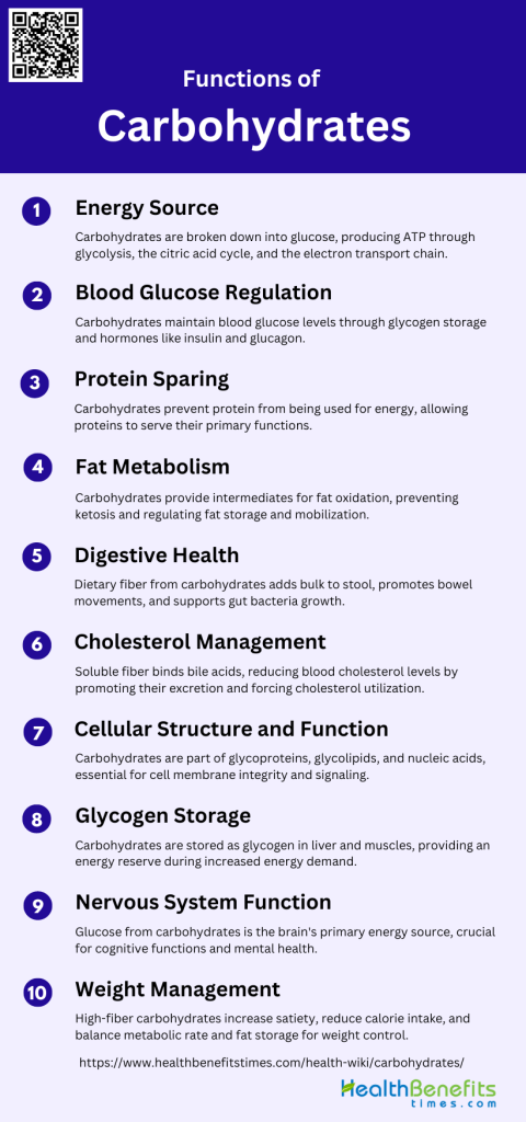 Functions of Carbohydrates | Health Benefits