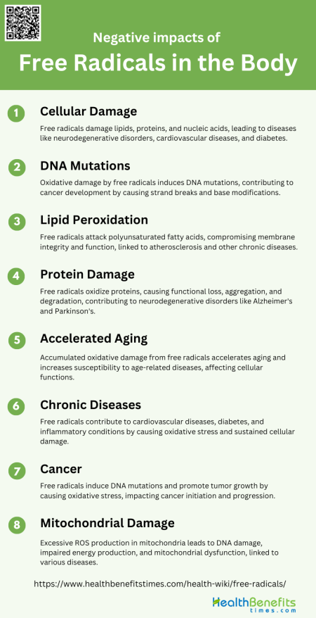 Negative impacts of Free Radicals in the Body | Health Benefits