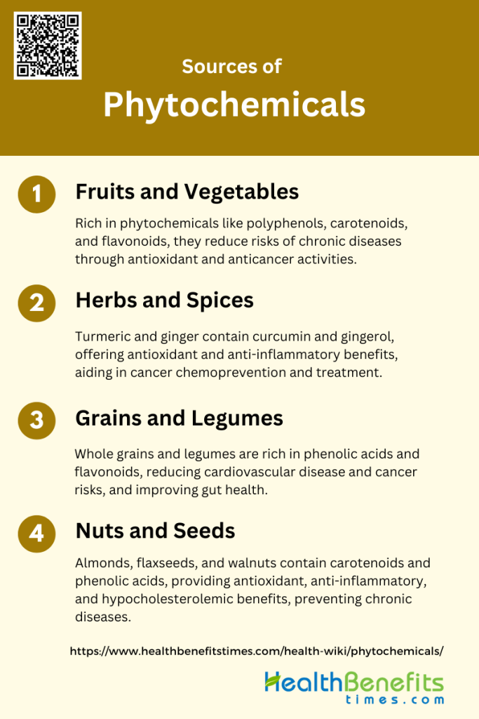 What Is Phytochemicals? 