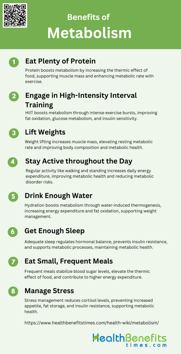 Benefits Of Metabolism 