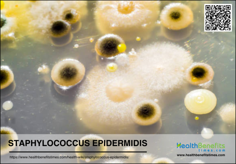 What Is Staphylococcus Epidermidis And Its Role In Skin Health Health