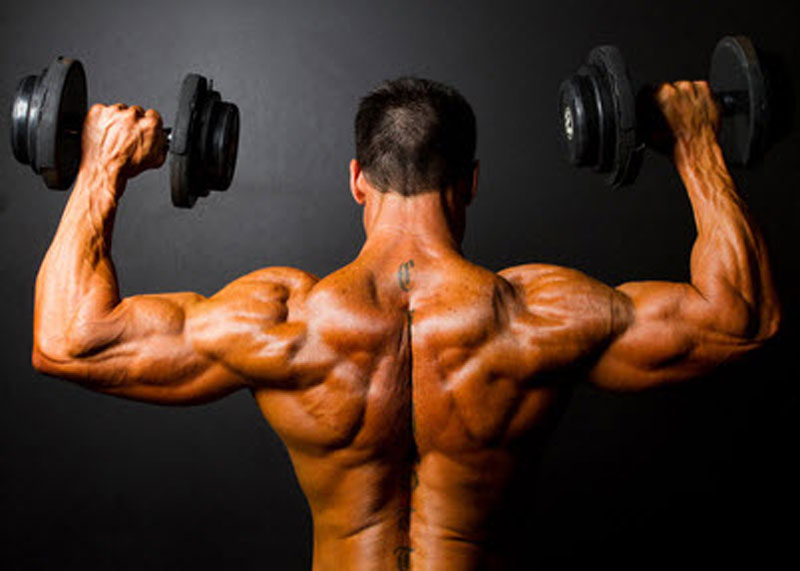 muscular fitness benefits