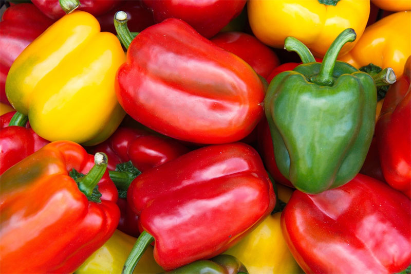 bell-pepper-definition-of-bell-pepper