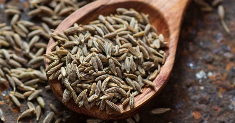 Cumin Definition Of Cumin