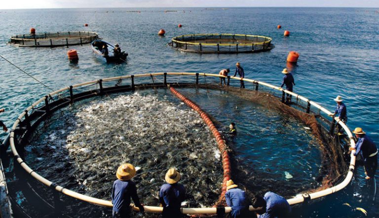 mariculture-definition-of-mariculture