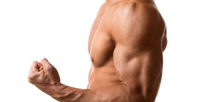 What Is The Definition Of Muscle Power