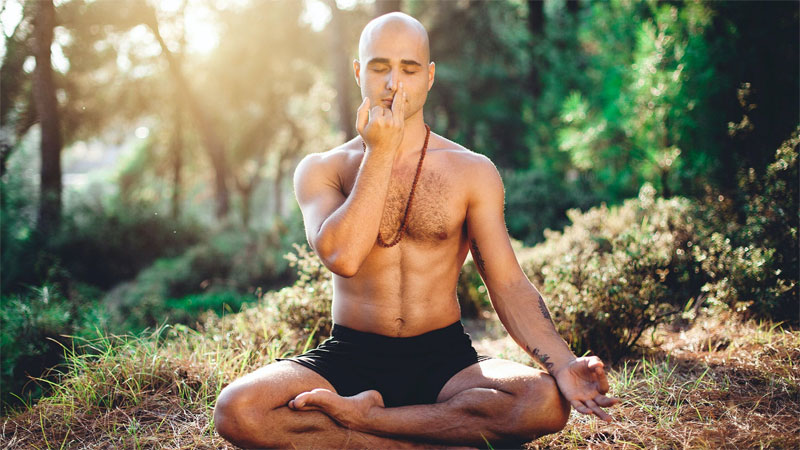 Pranayama - Definition of Pranayama