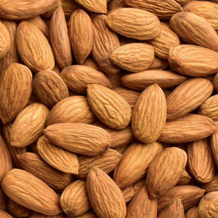 Almond Definition Of Almond