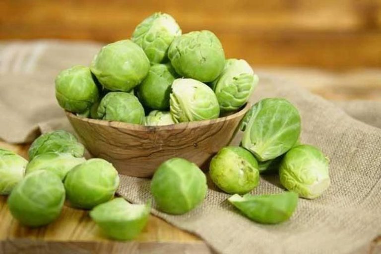 brussels-sprouts-definition-of-brussels-sprouts