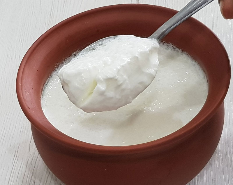 Curd Definition Of Curd