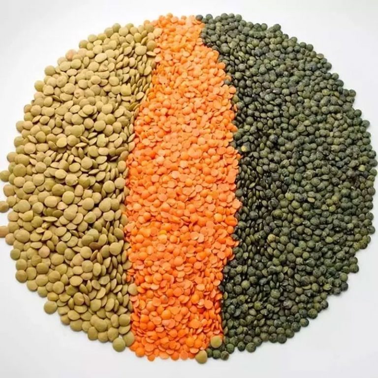 lentil-definition-of-lentil