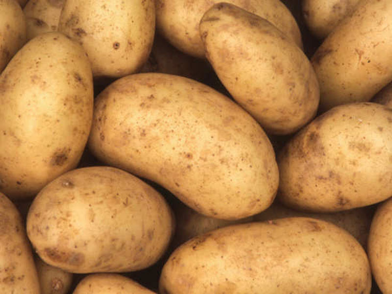 potato-definition-of-potato