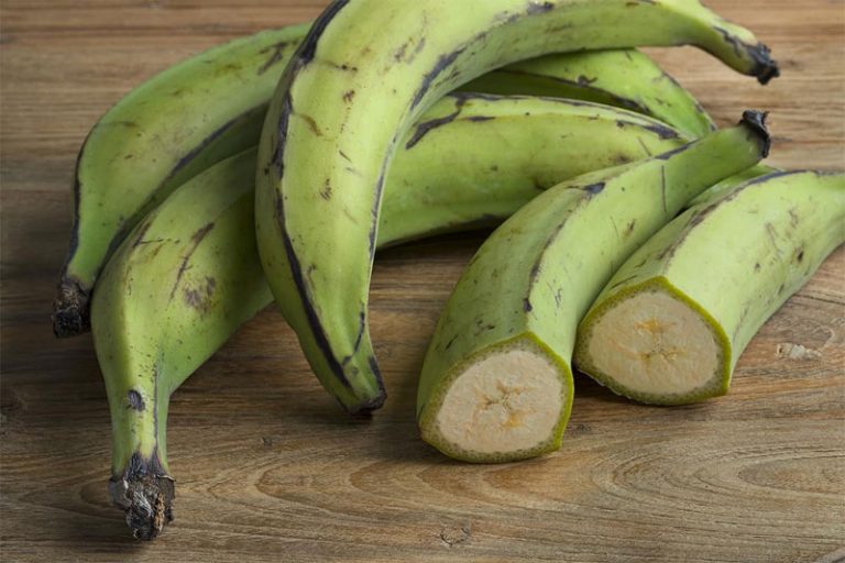 green-plantain-definition-of-green-plantain