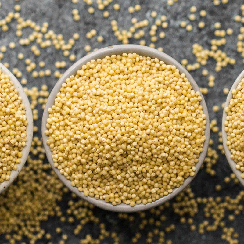 millet-definition-of-millet