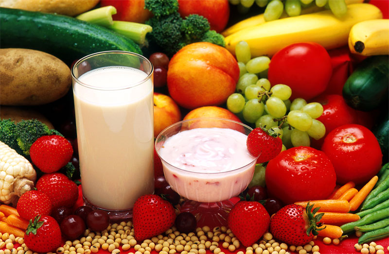 lacto-vegetarian-diet-definition-of-lacto-vegetarian-diet