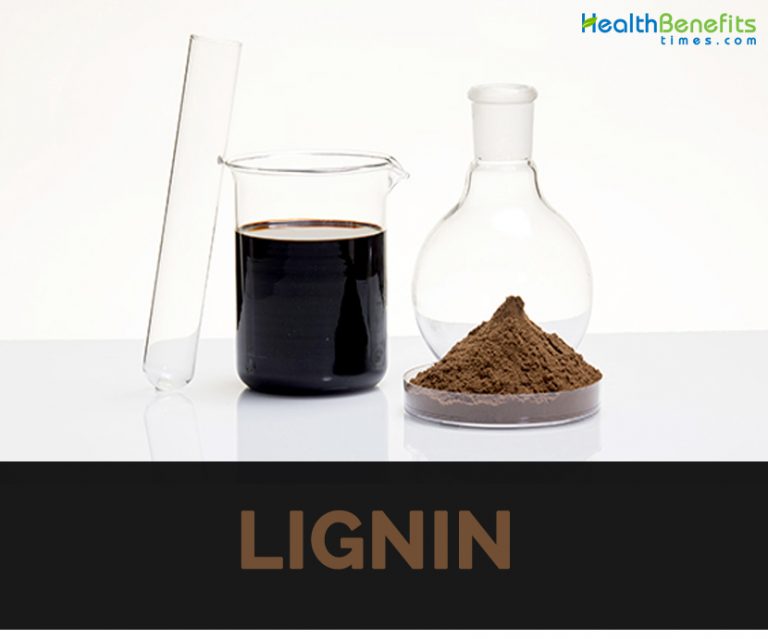 lignin-facts-and-sources-nutrition