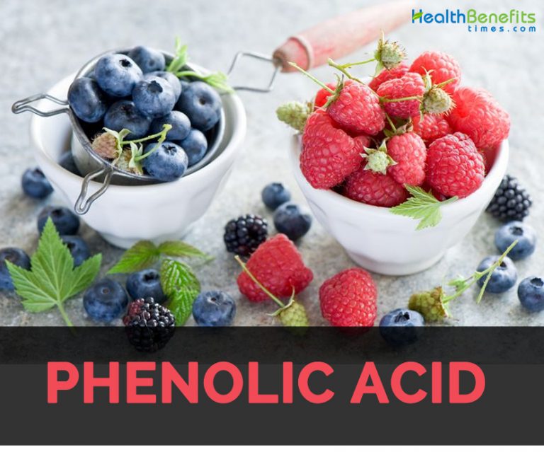 phenolic-acids-facts-nutrition