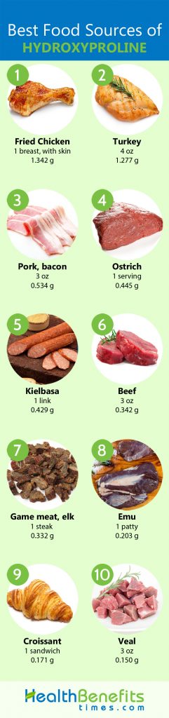 Hydroxyproline Facts | Nutrition